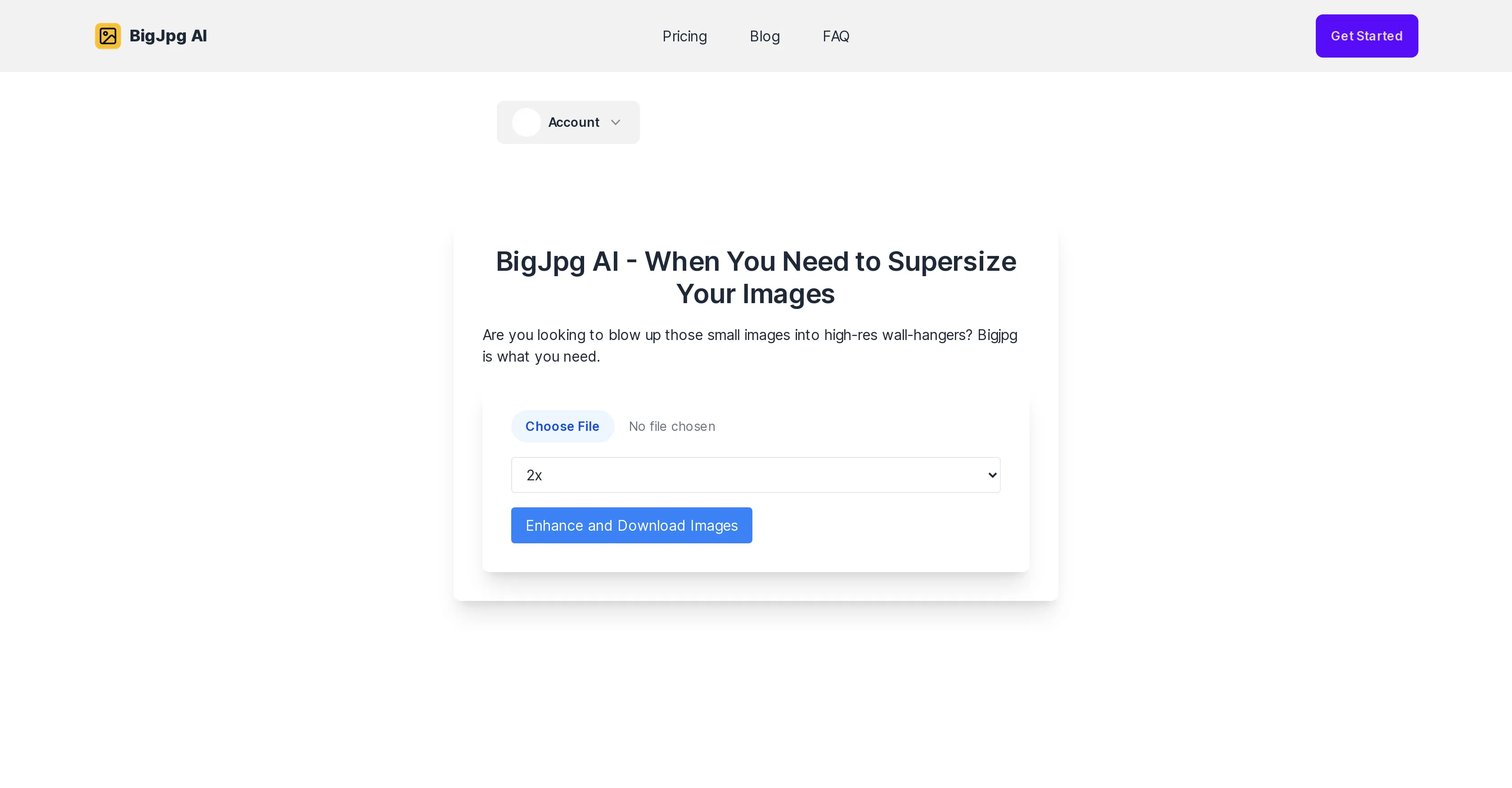 BigJpg AI screenshot