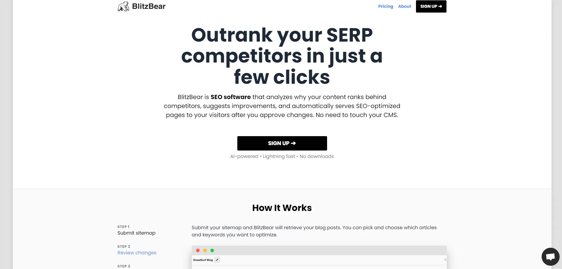 BlitzBear screenshot