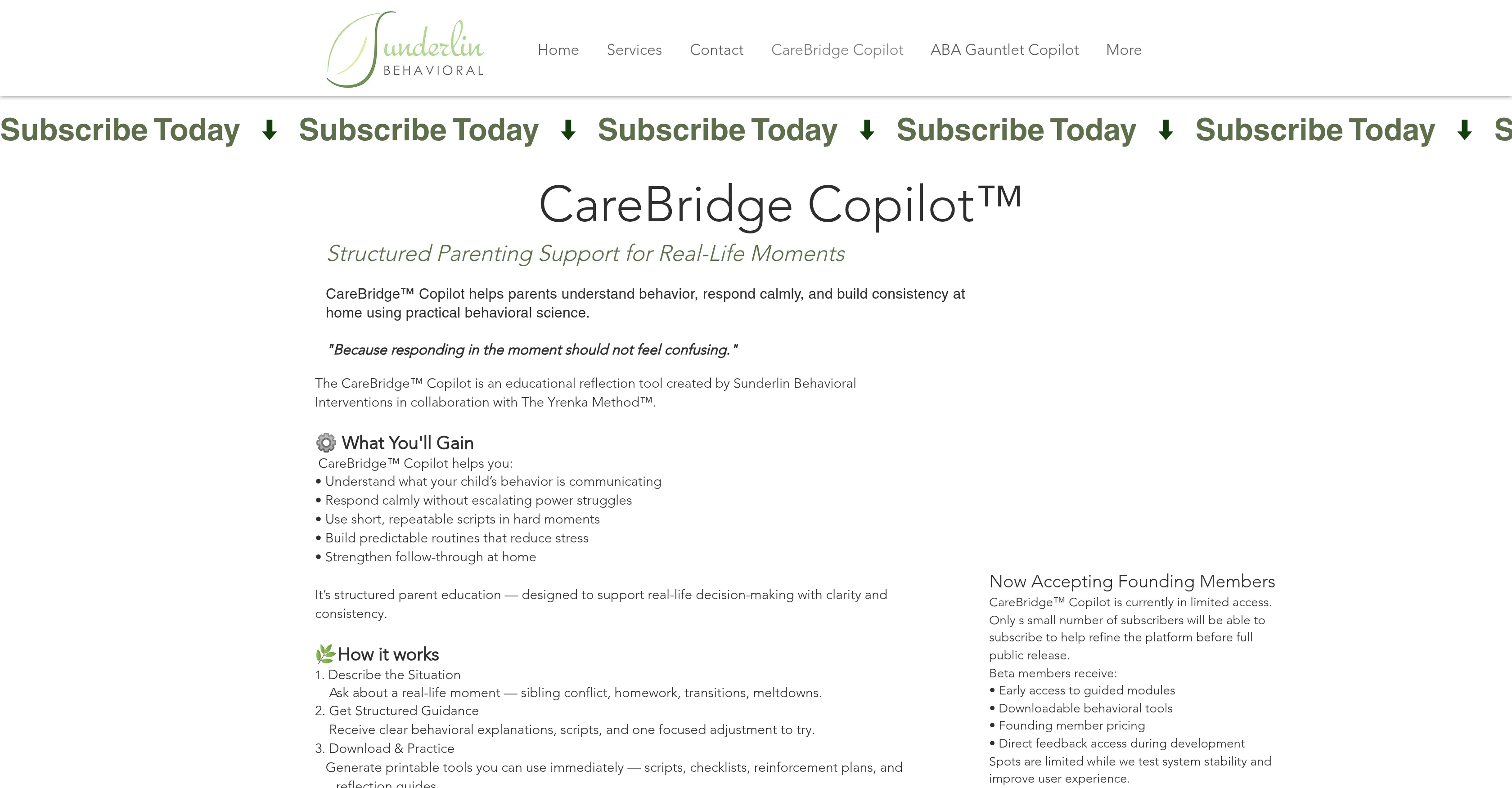 CareBridge Copilot screenshot