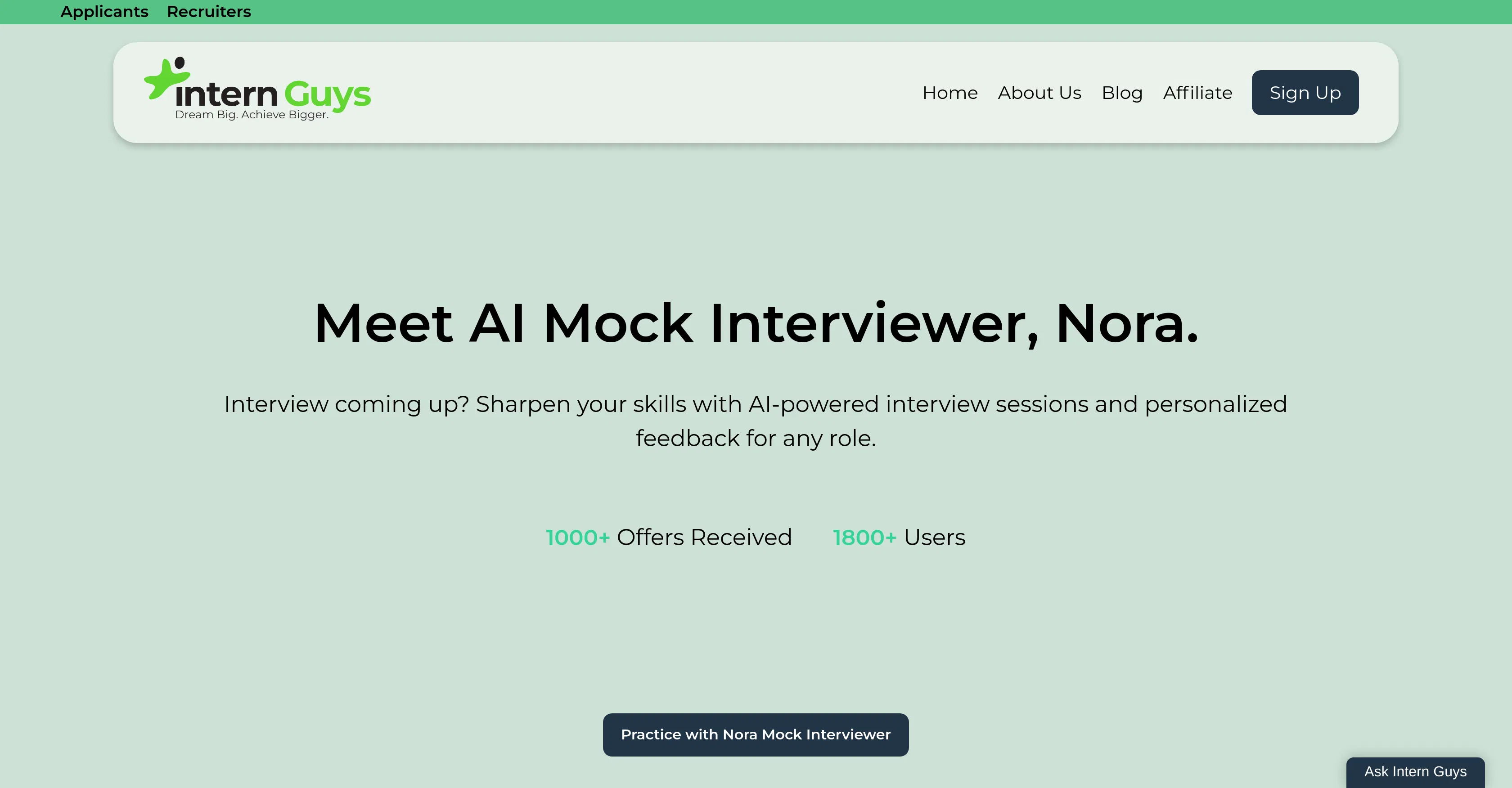 Intern Guys screenshot