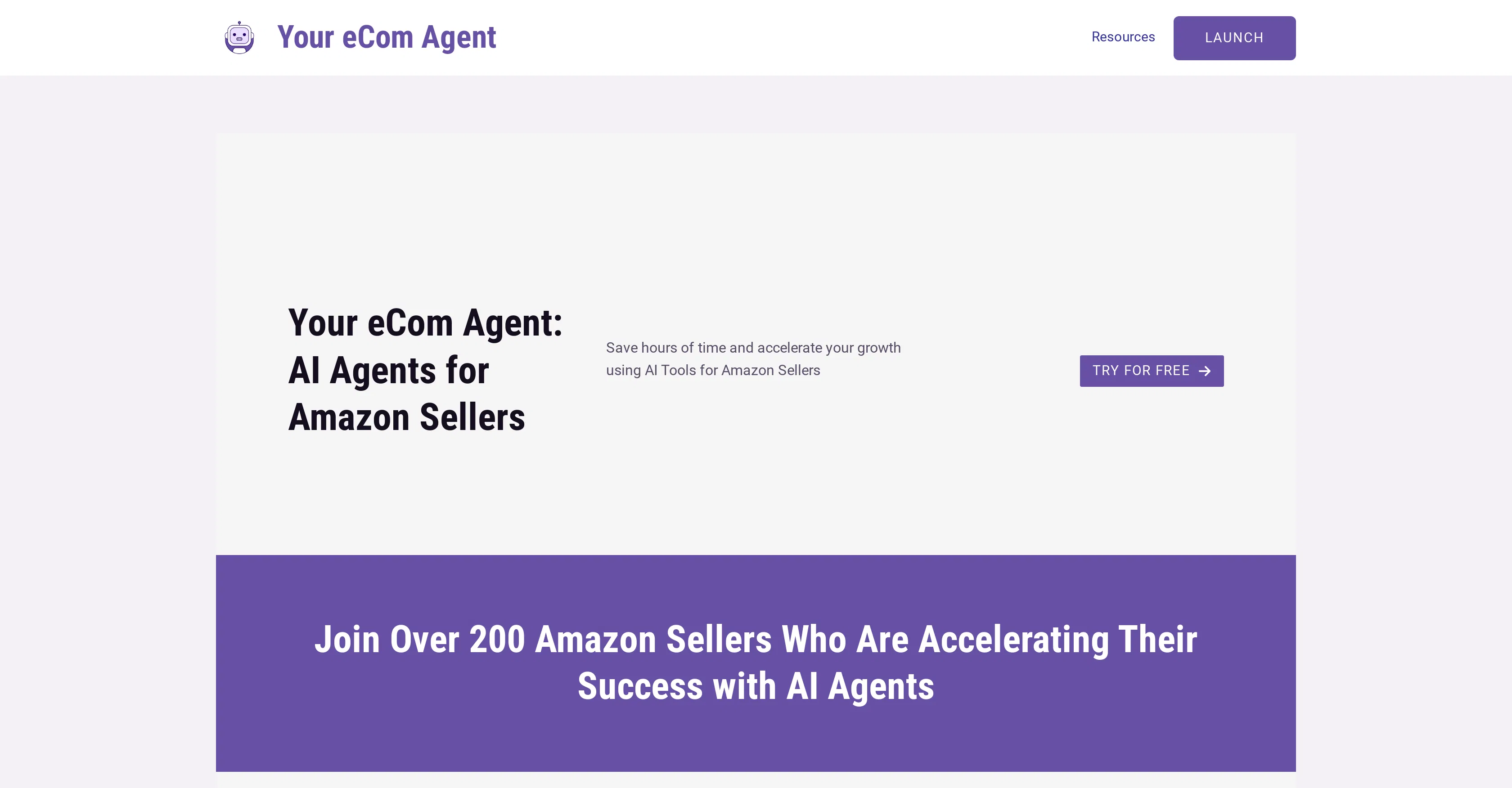 Your eCom Agent screenshot